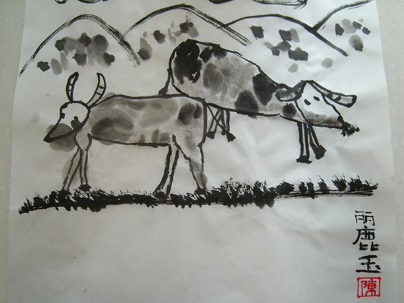 cow (7).JPG